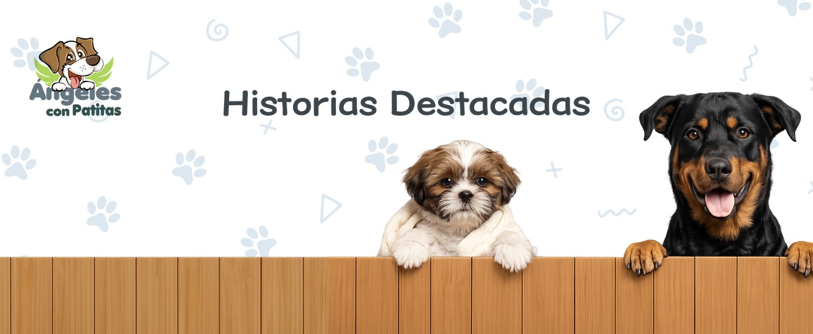 WhatsApp Image 2026-03-08 at 11.40.36 PM